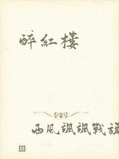 醉红楼封面