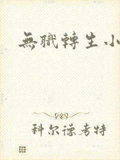 无职转生小说封面