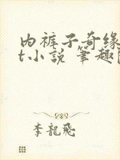 内裤子奇缘txt小说 笔趣阁