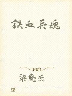 铁血兵魂封面