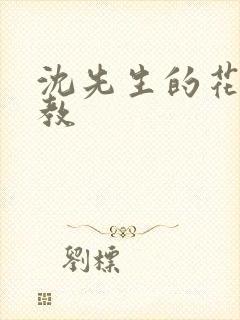 沈先生的花式调教