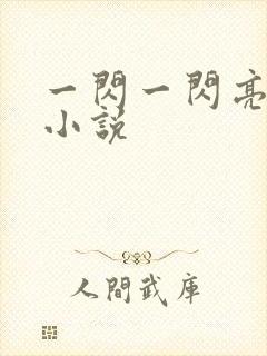 一闪一闪亮星星小说