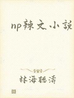 np辣文小说