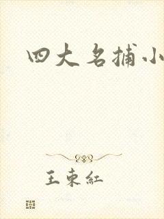 四大名捕小说