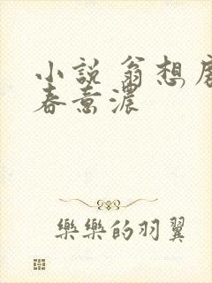 小说 翁想房中春意浓
