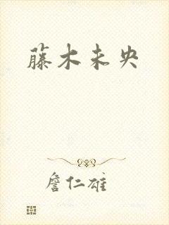 藤木未央封面