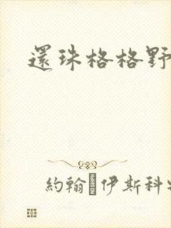 还珠格格野传封面
