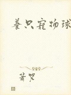 养只宠物球