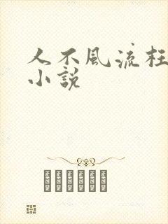 人不风流枉少年小说