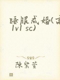 睡服成婚(高h 1v1 sc)