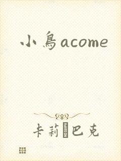 小鸟acome封面