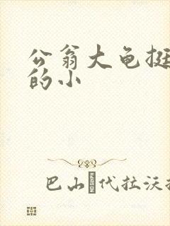 公翁大龟挺进我的小封面