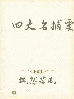 四大名捕震关东封面