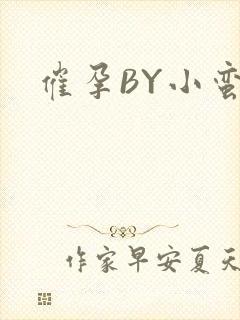 催孕BY小蛮腰
