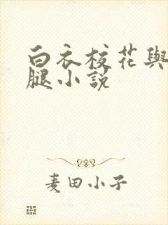白衣校花与大长腿小说封面