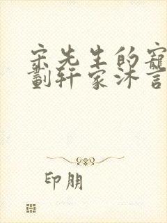 宋先生的宠妻计划轩家沐言封面