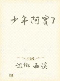 少年阿宾7封面