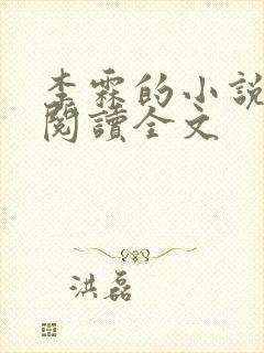 李霖的小说免费阅读全文封面