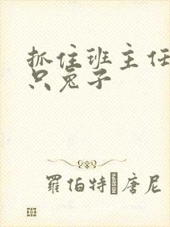 抓住班主任的两只兔子