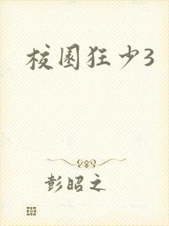 校园狂少3