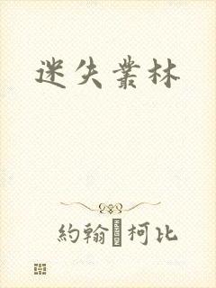 迷失丛林封面