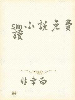 sm小说免费阅读