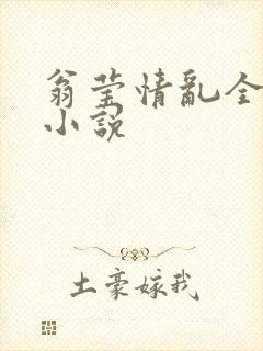 翁莹情乱全部篇小说
