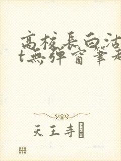 高校长白沽txt无弹窗笔趣阁封面