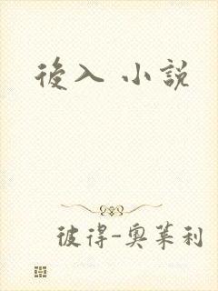 后入 小说