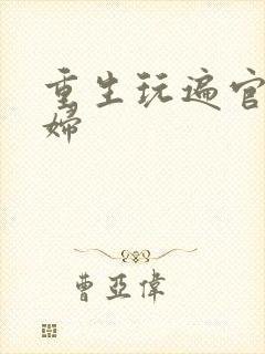 重生玩遍官场贵妇