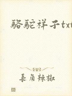 骆驼祥子txt