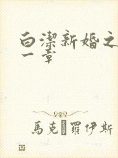 白洁新婚之夜第一章