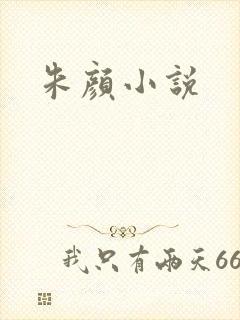 朱颜小说