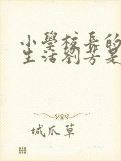 小学校长的幸福生活刘芳是谁封面