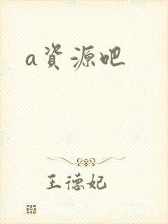 a资源吧