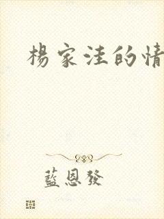 杨家洼的情事