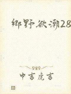 乡野欲潮28章