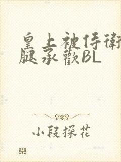 皇上被侍卫抵开腿承欢BL