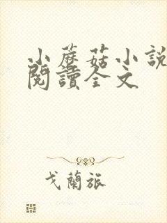 小蘑菇小说免费阅读全文