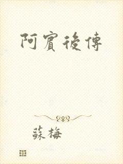 阿宾后传