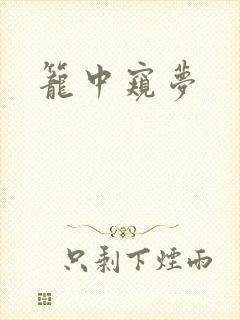 笼中窥梦