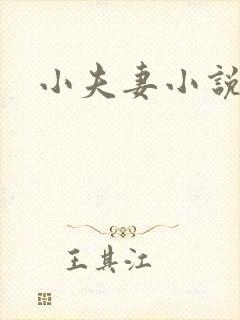 小夫妻小说封面