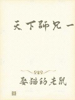天下师兄一般黑封面