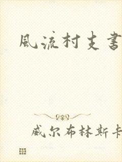 风流村支书封面