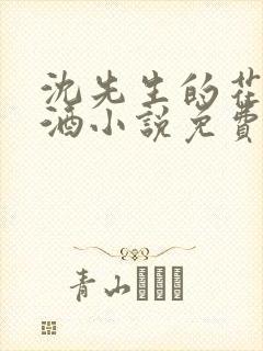 沈先生的花式调酒小说免费阅读