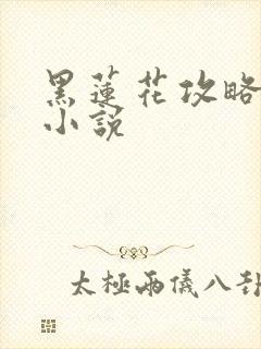 黑莲花攻略手册小说