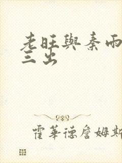 老旺与秦雨三进三出