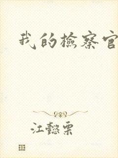 我的检察官先生
