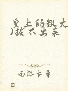 皇上的粗大(h)拔不出来封面