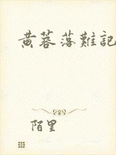 黄蓉落难记封面